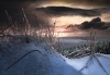 Gems of Winter - Alan Jenkinson